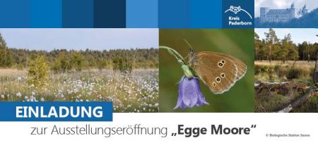 Ausstellung informiert über Schutz der Egge-Moore